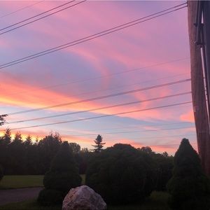 Meet your Posher, Veronica